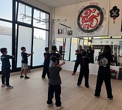 Drago rosso Kung fu wing chun
